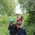 Dzieci idą jedno za drugim drewnianą kładką biegnącą po łące. W tle widać drewnianą wiatę piknikową.