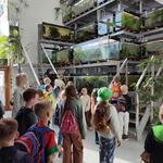 Uczniowie oglądają wielkie akwaria na Wydziale Biologicznym Uniwersytetu w Białymstoku..jpg